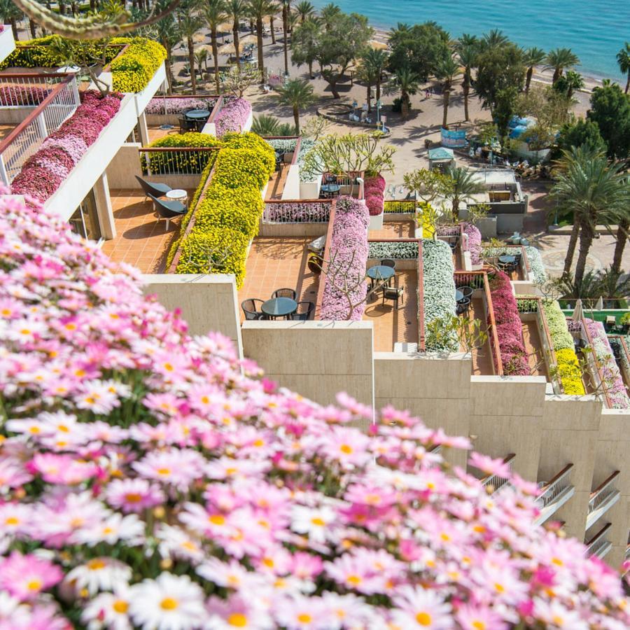 Dan Eilat Hotel Экстерьер фото